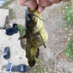 hammonds bait and tackle