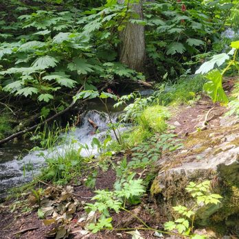 Hope Point Trail - Hiking Near Me - Hope, Alaska