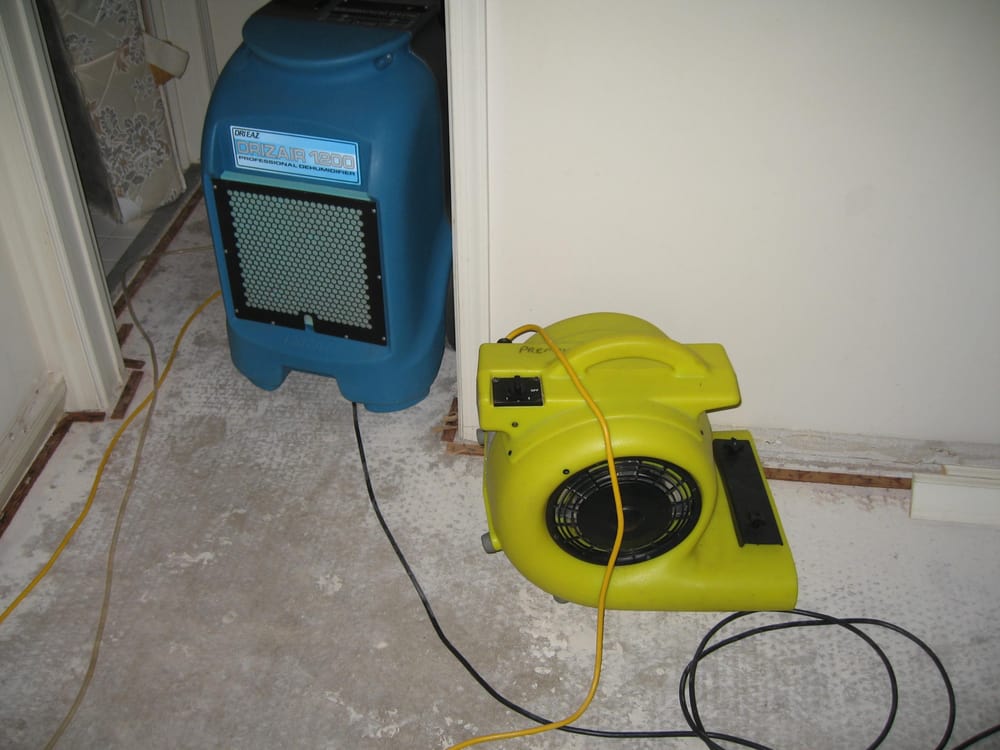 PREMIUM CARPET CARE INC. Updated September 2024 Boca Raton, Florida