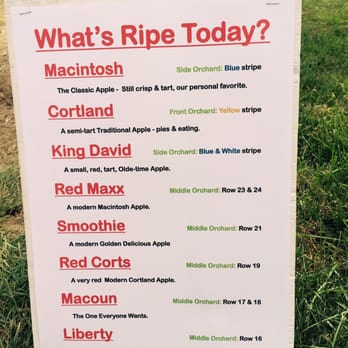 Riamede Farm - A nice little sign greets you at front gate to let you know what's ripe. - Pick Your Own Farms Near Me - Chester, New Jersey Riamede Farm - A nice little sign greets you at front gate to let you know what's ripe. - Pick Your Own Farms Near Me - Chester, New Jersey