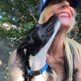 PHL PETS - Dog Walkers Near Me