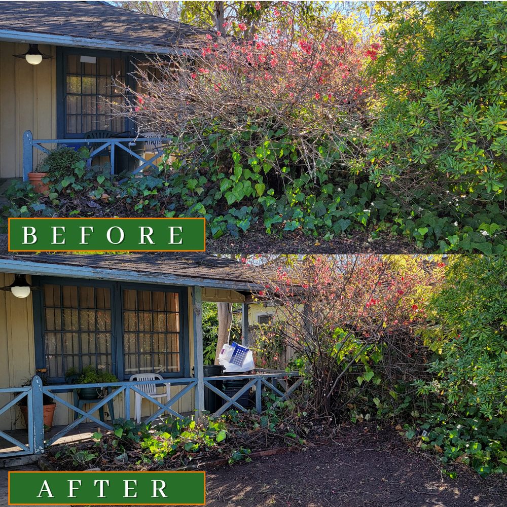 BAY AREA GREEN CARE 33 Photos Redwood City, California Lawn