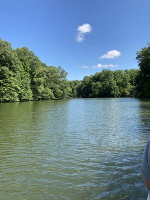 Meeman-Shelby Forest State Park by null