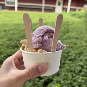 Sweet Land Farm - Goat ice cream - Cheese Shops Near Me - Waialua, Hawaii Sweet Land Farm - Goat ice cream - Cheese Shops Near Me - Waialua, Hawaii