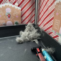One White Whisker - LOOK AT THE AMOUNT OF HAIR SHE GOT OFF