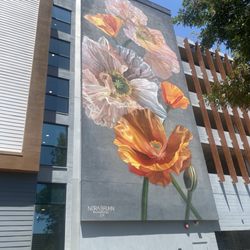 Wild Flowers - Left view of "Wild Flowers"