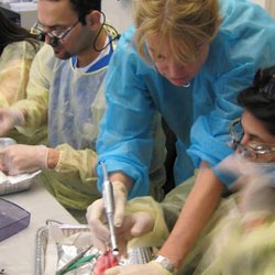 Dr. Suzanne Caudry