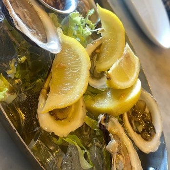 The Dead Fish - Oysters - Seafood Near Me - Crockett, California The Dead Fish - Oysters - Seafood Near Me - Crockett, California