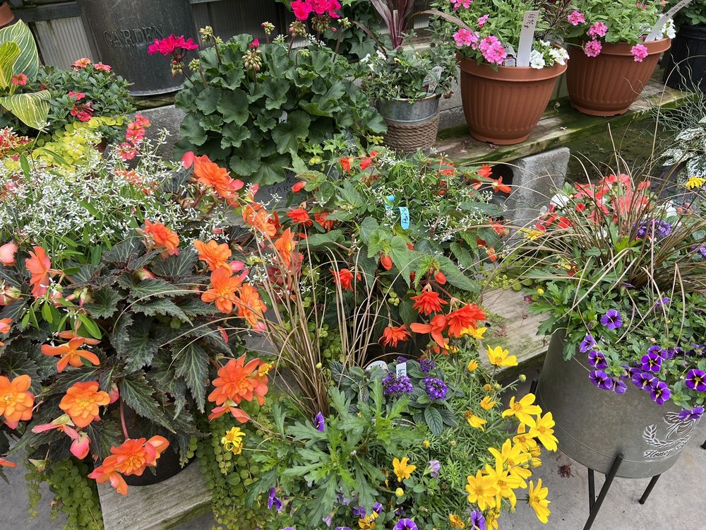 COUNTRY RODES GREENHOUSE Updated September 2024 50 Photos 5362 N