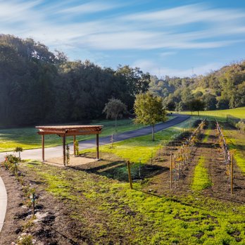 Gan Shalom - Funeral Services & Cemeteries Near Me - Briones, California Gan Shalom - Funeral Services & Cemeteries Near Me - Briones, California