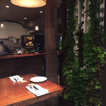 Boca - Interior (lettuce wall!) - Bars Near Me - Winter Park, Florida Boca - Interior (lettuce wall!) - Bars Near Me - Winter Park, Florida