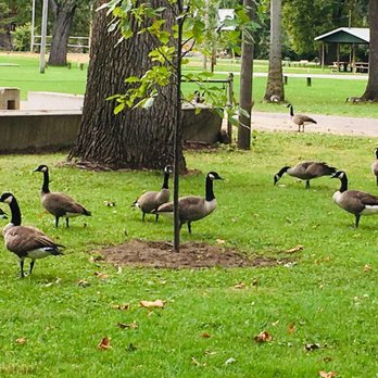 Winamac Town Park - Parks Near Me - Winamac, Indiana Winamac Town Park - Parks Near Me - Winamac, Indiana
