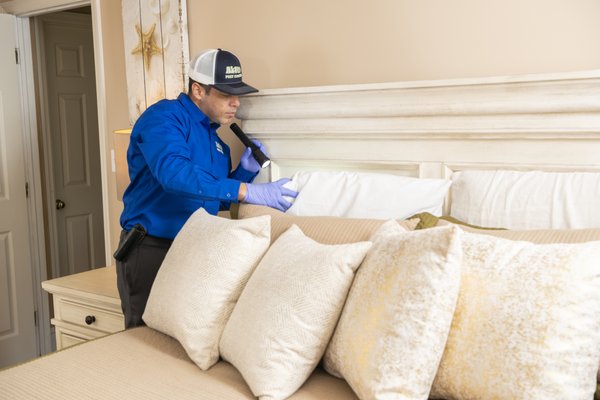how to keep hotel guests safe from pests