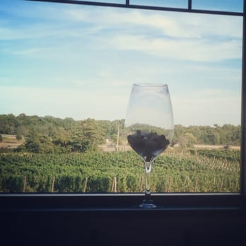 12 Corners Vineyards - View from the tasting room - Wineries Near Me - Benton Harbor, Michigan 12 Corners Vineyards - View from the tasting room - Wineries Near Me - Benton Harbor, Michigan