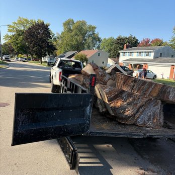 Mauricio’s Tree Service - Tree Services Near Me - Green Bay, Wisconsin Mauricio’s Tree Service - Tree Services Near Me - Green Bay, Wisconsin
