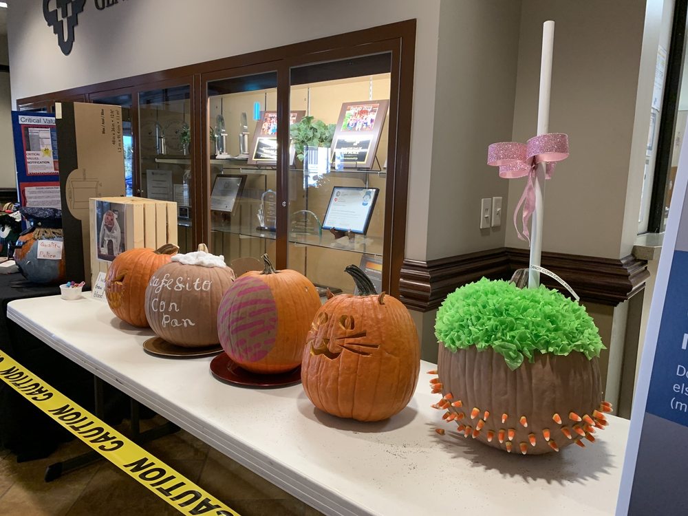 Texas Vista Medical Center - patient advocate in San Antonio, TX