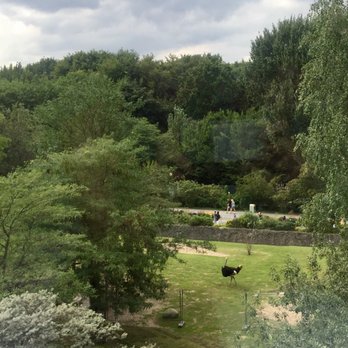 Das Stue - View from our room. Yup, that's an ostrich. - Hotels Near Me - Berlin, BE