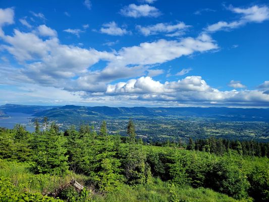 South Hill Winery by null