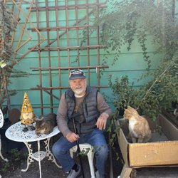 Whispering Winds Nursery - Dad chilling with the cats.