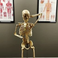Vital Wellness Center Office Tour