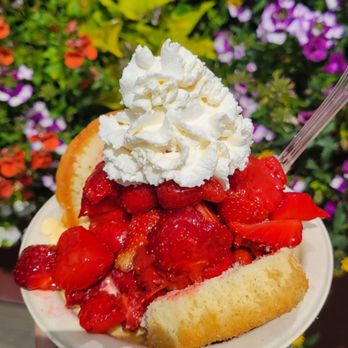 EZ Orchards Farm Market - Fruits & Veggies Near Me - Salem, Oregon EZ Orchards Farm Market - Fruits & Veggies Near Me - Salem, Oregon