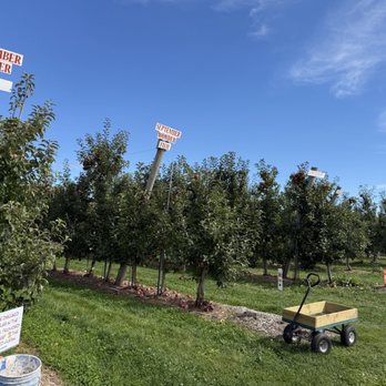 Stone Mountain Farm - Pick Your Own Farms Near Me - Belmont, New Hampshire Stone Mountain Farm - Pick Your Own Farms Near Me - Belmont, New Hampshire