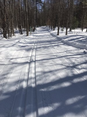 Roberts Farm Preserve Trails by null