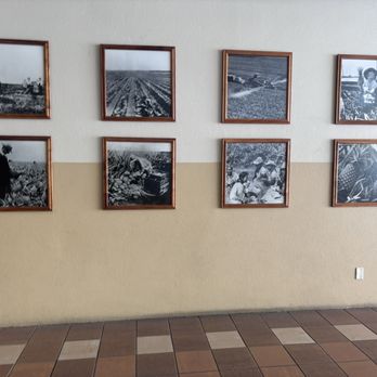 REGAL DOLE CANNERY - Updated June 2025 - 1539 Photos & 721 Reviews