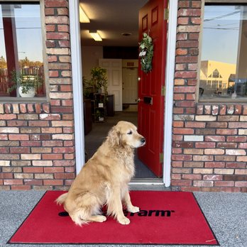 Brandon Jones - State Farm Agent - State Farm entrance with Harry the dog. - Home & Rental Insurance Near Me - Hendersonville, North Carolina Brandon Jones - State Farm Agent - State Farm entrance with Harry the dog. - Home & Rental Insurance Near Me - Hendersonville, North Carolina