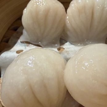 Tropical Chinese Restaurant - Dim Sum Near Me - Miami, Florida Tropical Chinese Restaurant - Dim Sum Near Me - Miami, Florida
