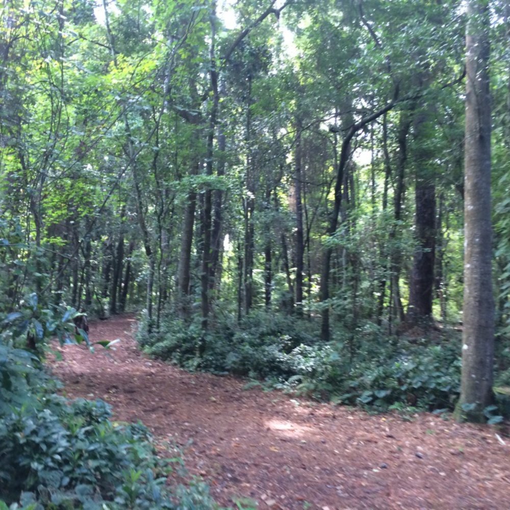 Clarke House Park - Parks Near Me - Orange Park, Florida