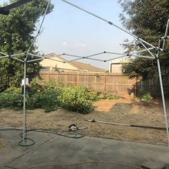 Yuba Sutter Tree Service - Tree Services Near Me - Yuba City, California Yuba Sutter Tree Service - Tree Services Near Me - Yuba City, California