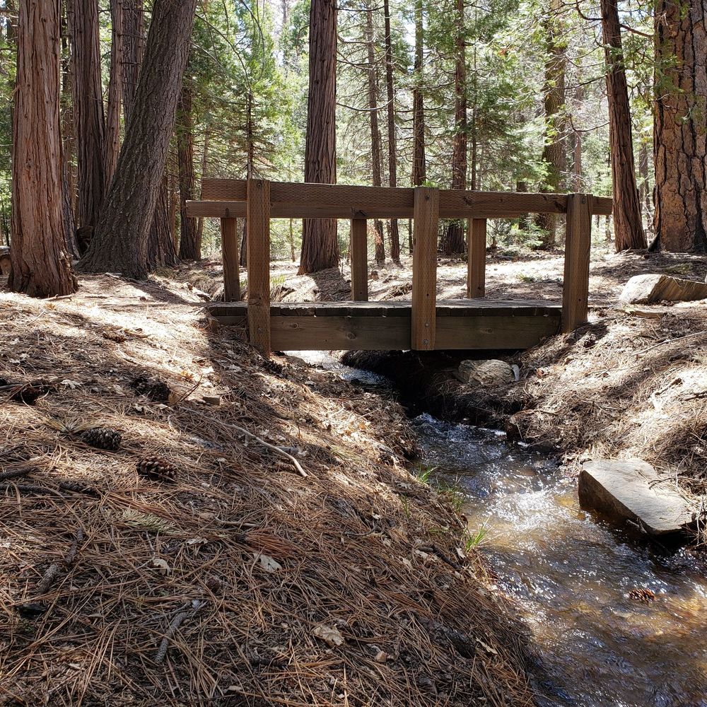 Barton Flats Campground - Campgrounds Near Me - San Bernardino, California