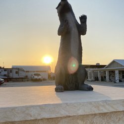 Honey Badger Rv Park - The Honey Badger!