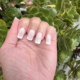 White on white French White on white French