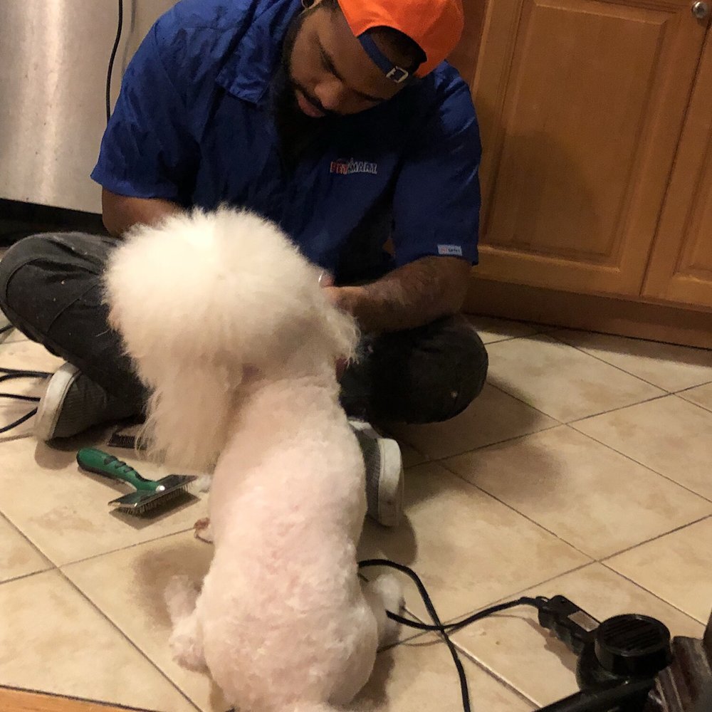 Matt's In Home Pet Styling - Pet Groomers Near Me Matt's In Home Pet Styling - Pet Groomers Near Me