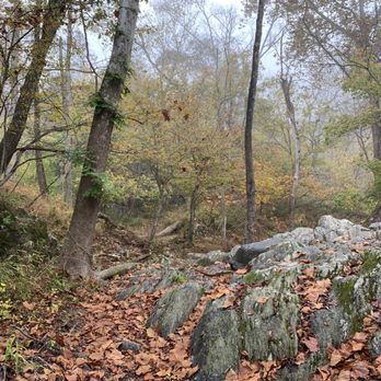 Billy Goat Trail - Section  A - Fall leaves changing, light fog.  Walking along Billy Goat trail. - Parks Near Me - Potomac, Maryland