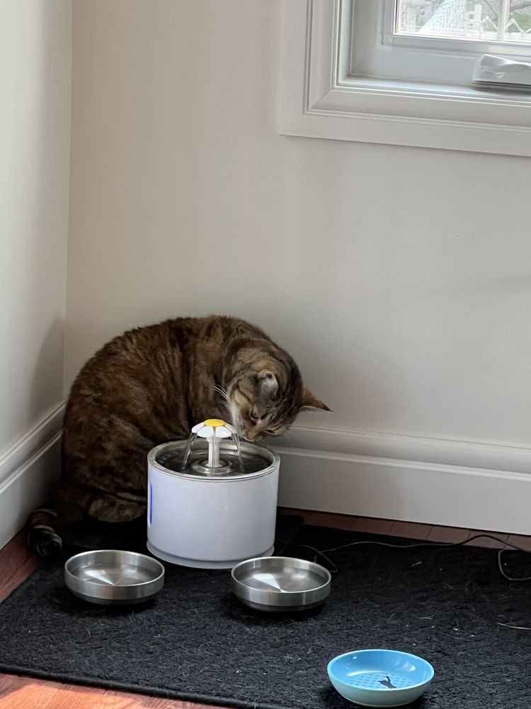 TAKE CARE HOME AND PET WATCH Updated October 2024 Edmonton, Alberta