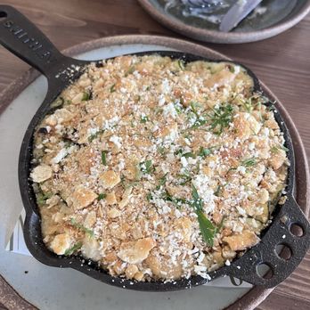 Cane Pazzo - squash and zucchini sformato with cracker crumb and  provolone - Italian Near Me - Hanahan, South Carolina