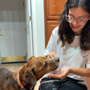 Photo of Whispers Pet Care