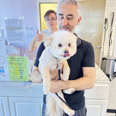 Noni's Pet Boutique & Grooming by null