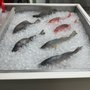 Photo of Buddy's Seafood & Bait