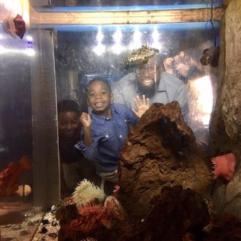 Bay Area Discovery Museum - Children's Museums Near Me - Sausalito, California