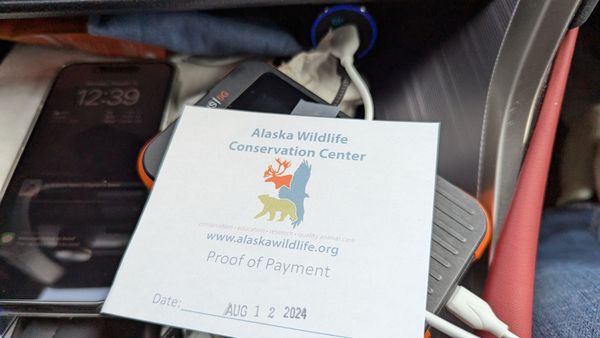 Alaska Wildlife Conservation Center by null