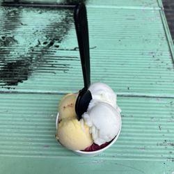 Gelat’oh - Sorbet