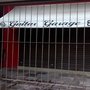Photo of Guitar Garage