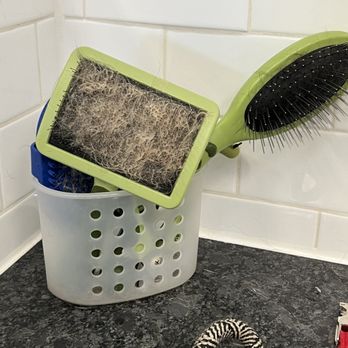 Choice Pet - Monroe - Dirty grooming brushes - Pet Stores Near Me - Monroe, Connecticut Choice Pet - Monroe - Dirty grooming brushes - Pet Stores Near Me - Monroe, Connecticut