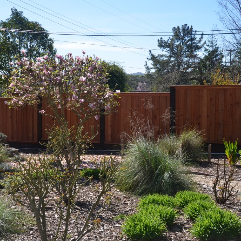 Guy's Fencing - Our backyard side fence on the other side. - Fences & Gates Near Me - Santa Rosa, California