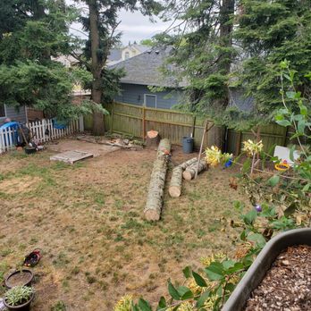 Alder Creek Tree Service - Trunk was guided down with a rope after it was cut - Tree Services Near Me - Damascus, Oregon Alder Creek Tree Service - Trunk was guided down with a rope after it was cut - Tree Services Near Me - Damascus, Oregon