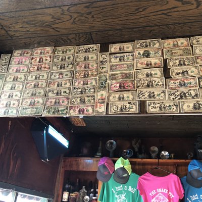 The Snake Pit by null